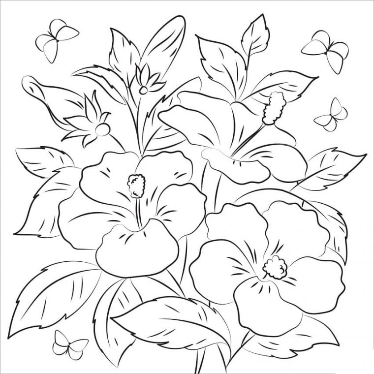 hibiscus coloring page