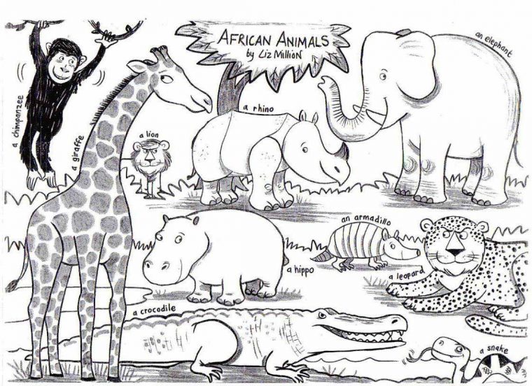 coloring pages of african animals