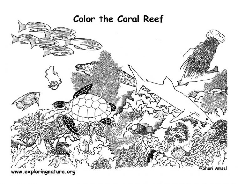 coral reef coloring pages