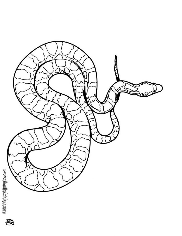snake coloring pages realistic