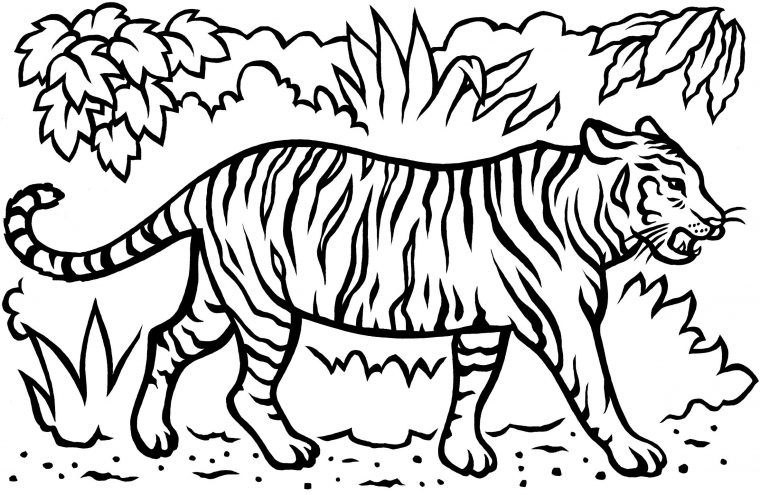 year of the tiger 2022 coloring page