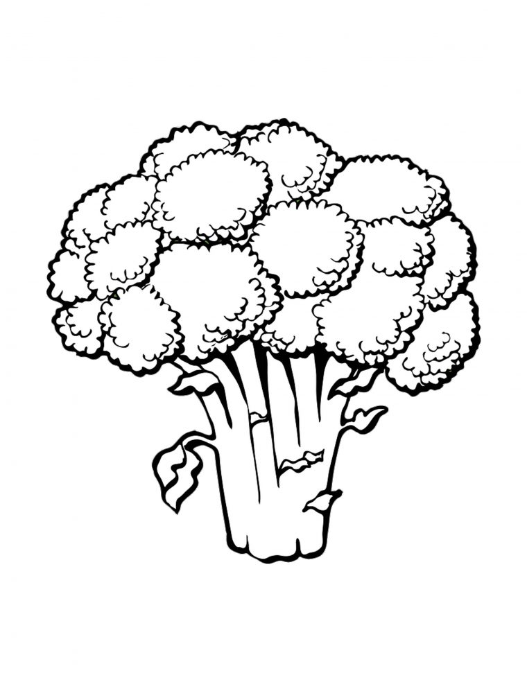 coloring pages of broccoli