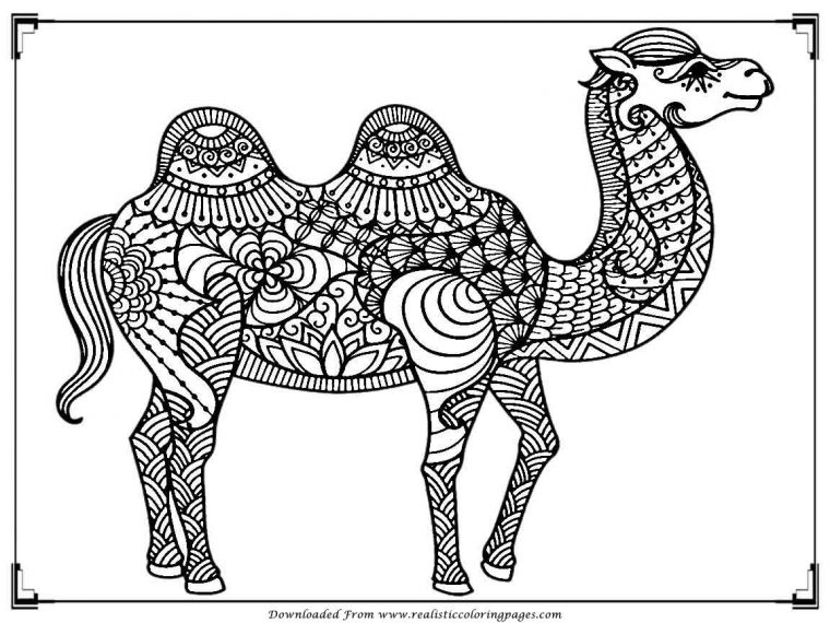 coloring pages camel