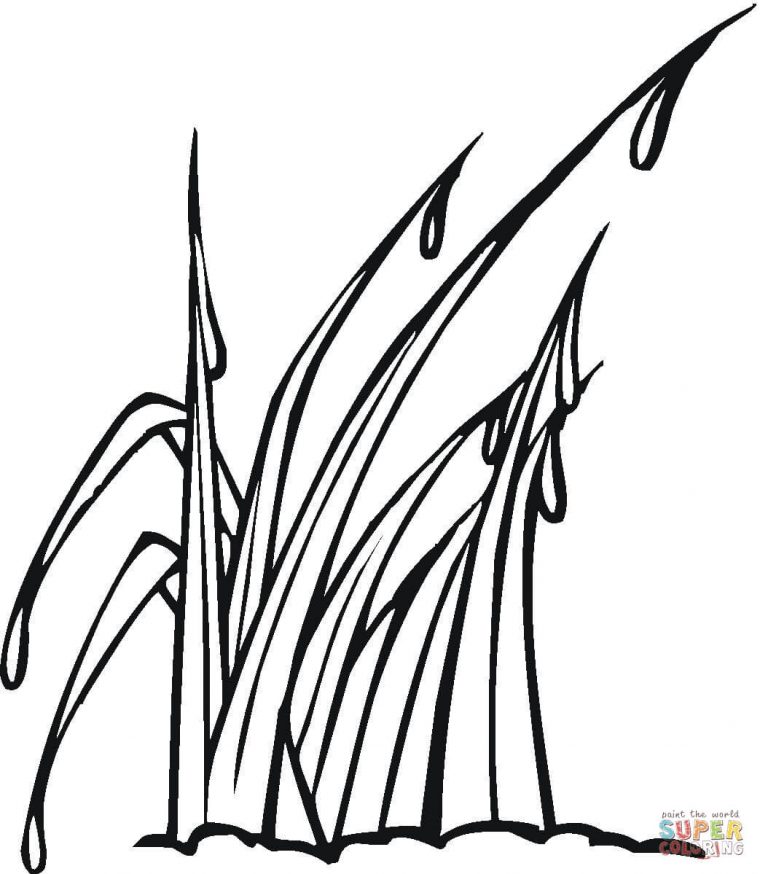 grass coloring page