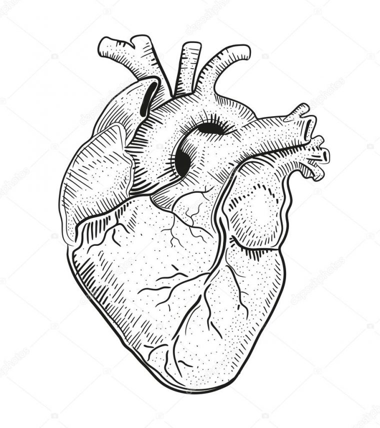 realistic heart coloring page