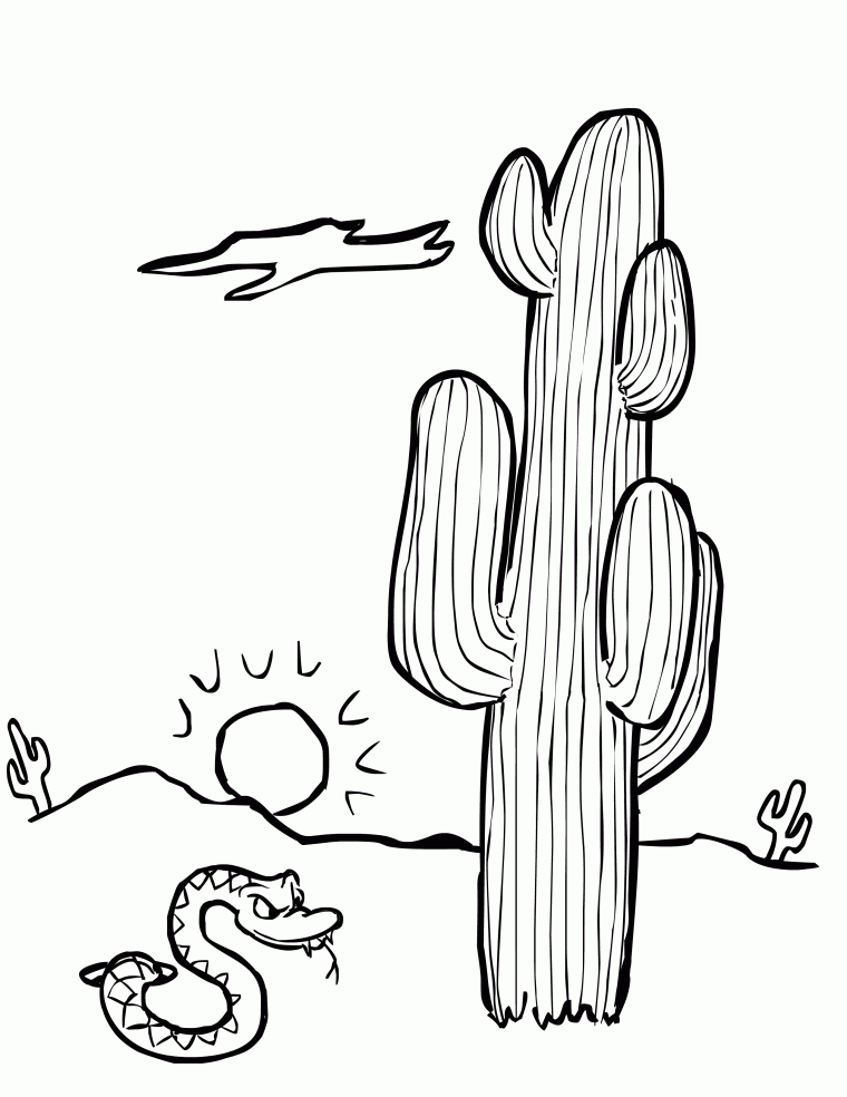 free printable cactus coloring pages