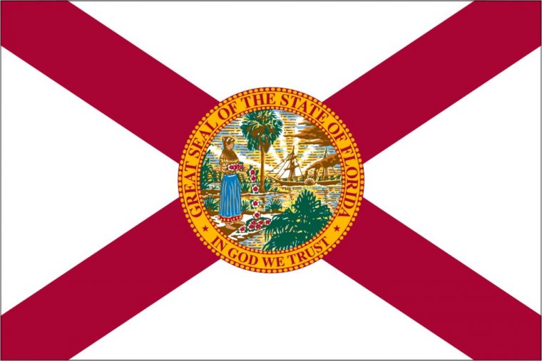 florida state flag coloring page