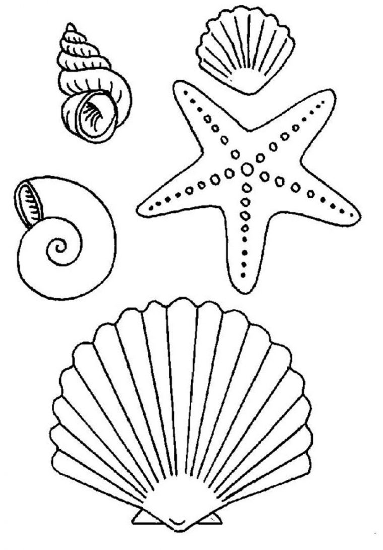 shells coloring pages