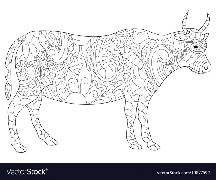 cow coloring pages for adults