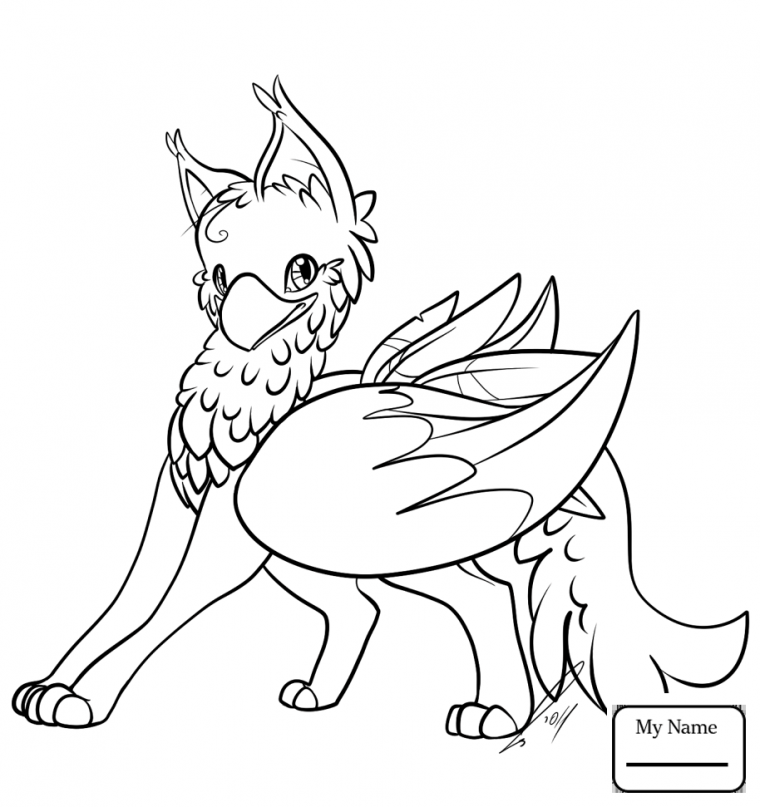 coloring pages griffin