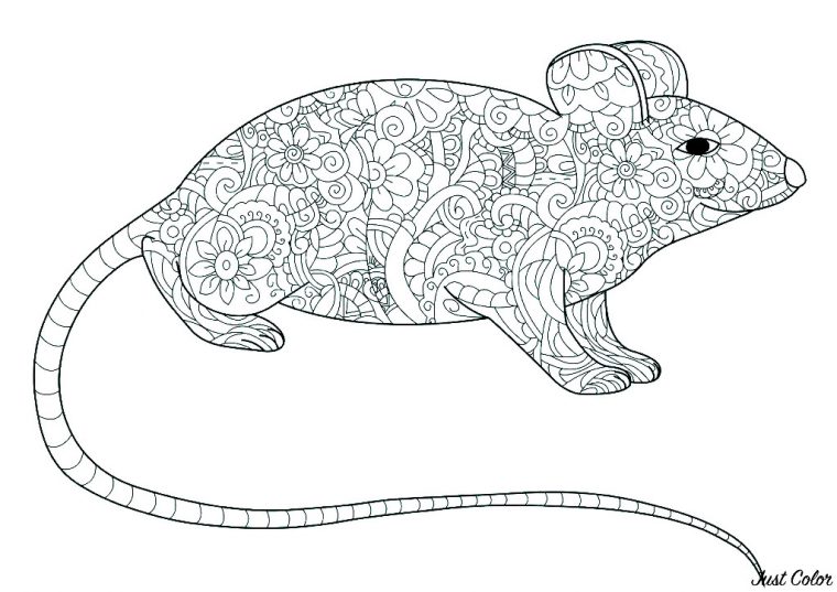 coloring page mouse
