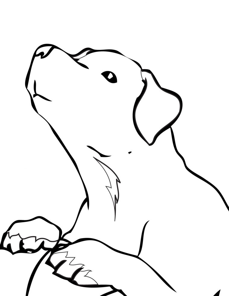 lab dog coloring pages