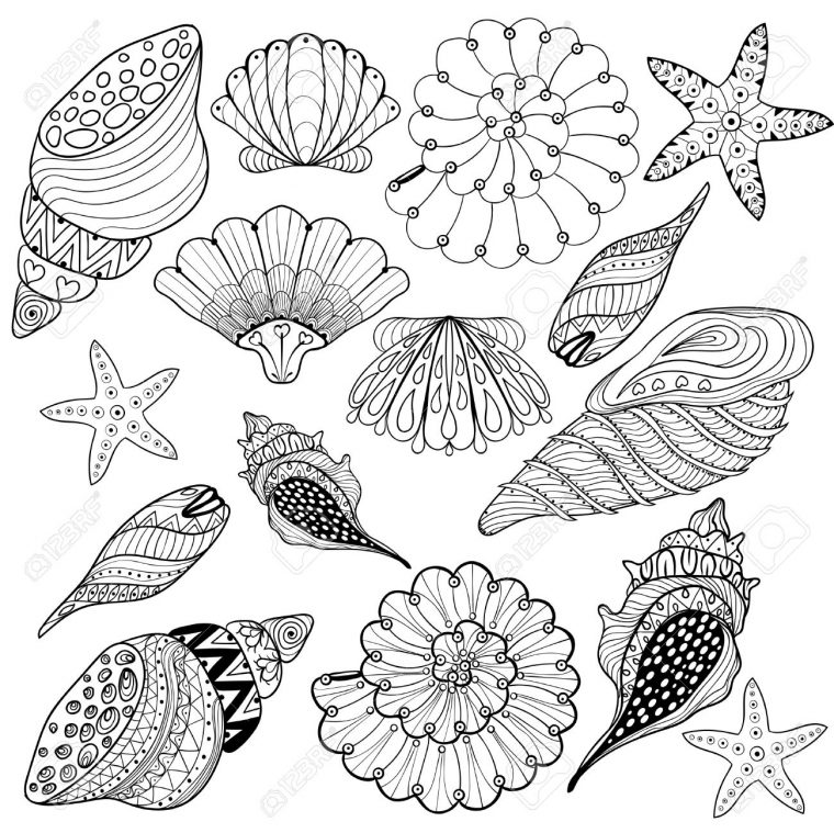seashells coloring pages