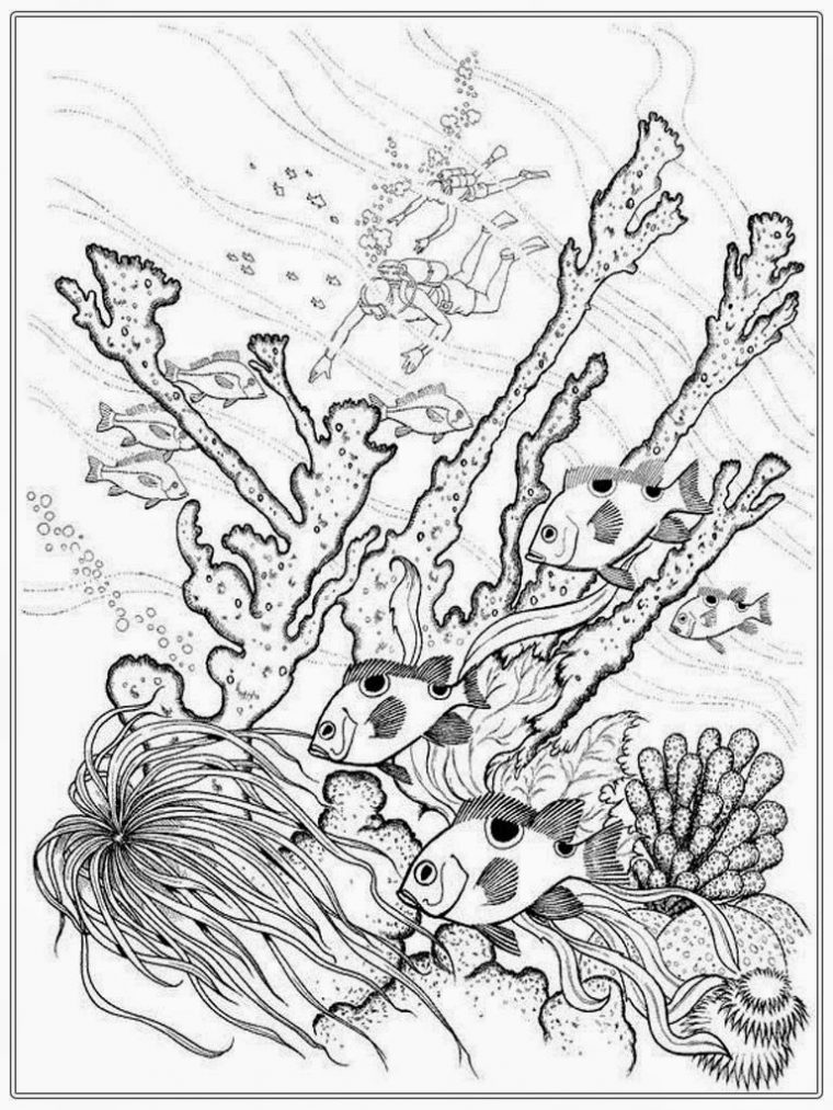 fish coloring pages for adults