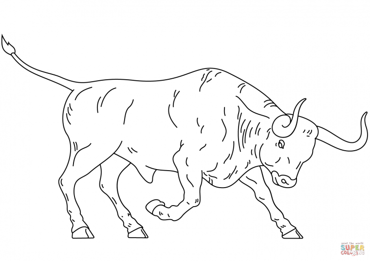 bull coloring page