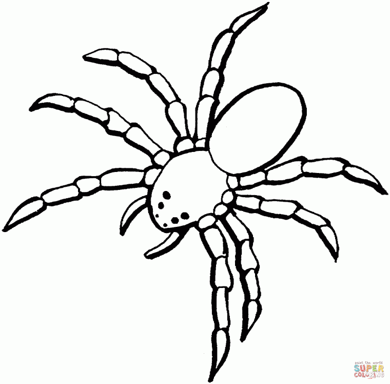 cute spider coloring pages