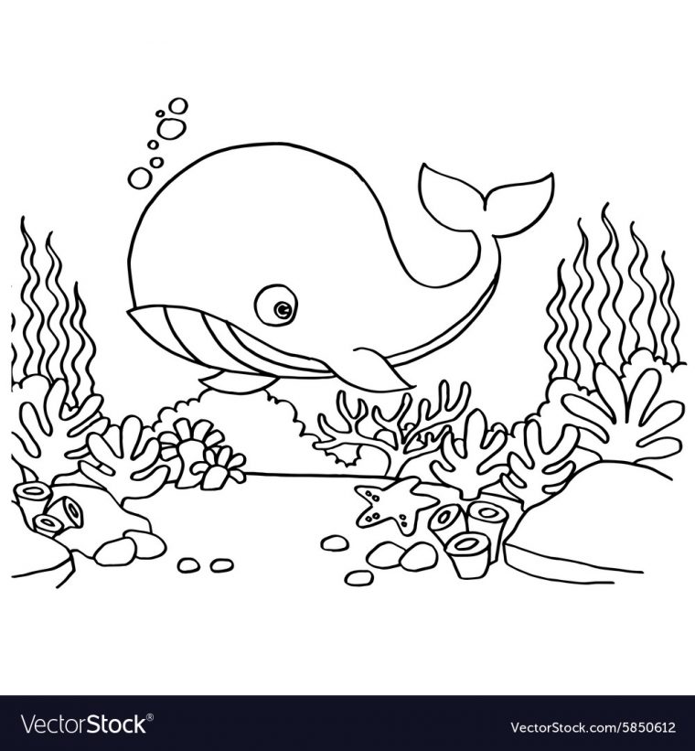 coloring pages of whales