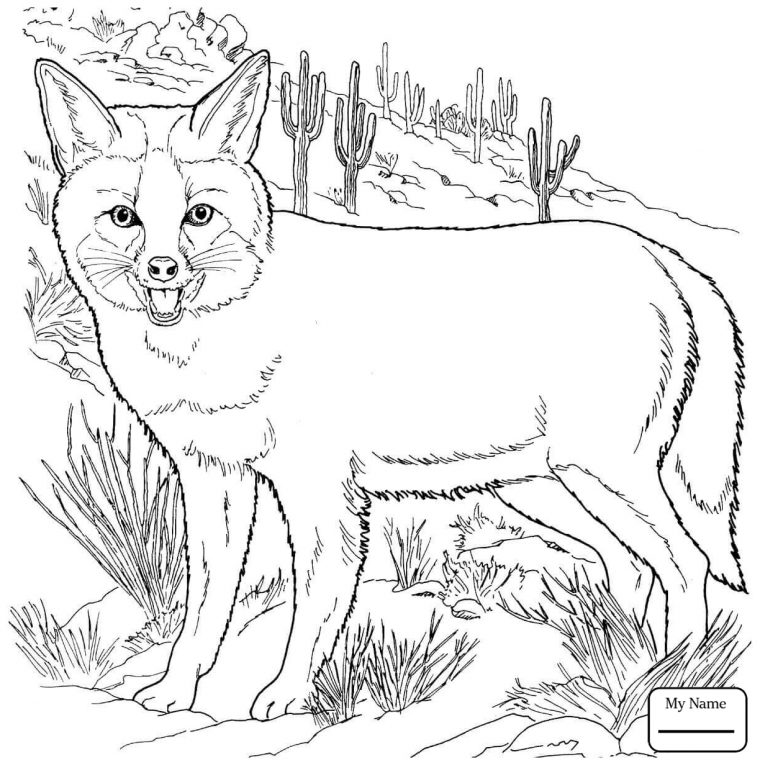 fennec fox coloring page