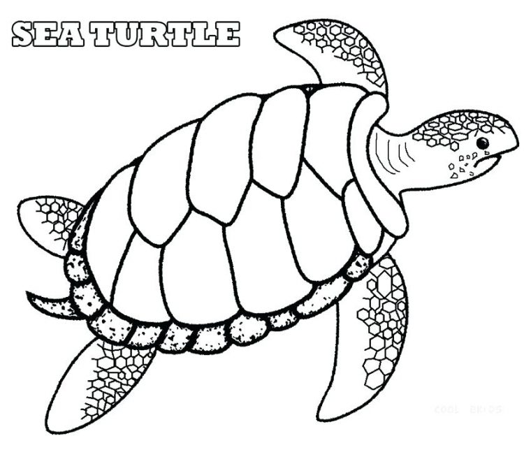 realistic sea turtle coloring page