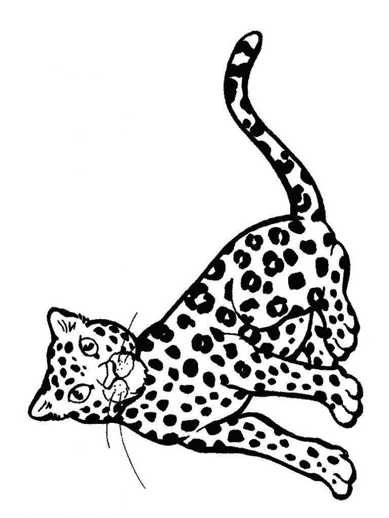 leopard coloring page