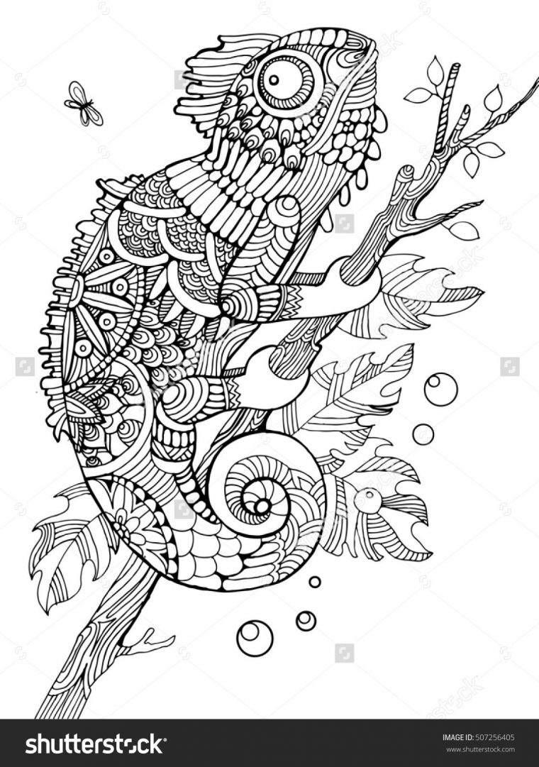 shutterstock coloring pages