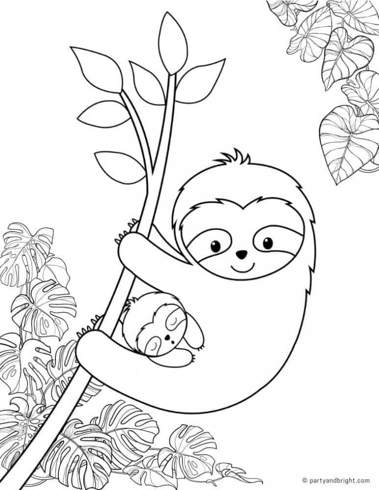 cute sloth coloring pages