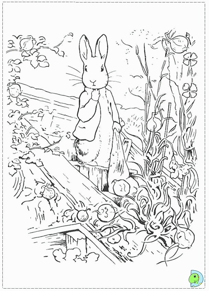 peter rabbit coloring pages