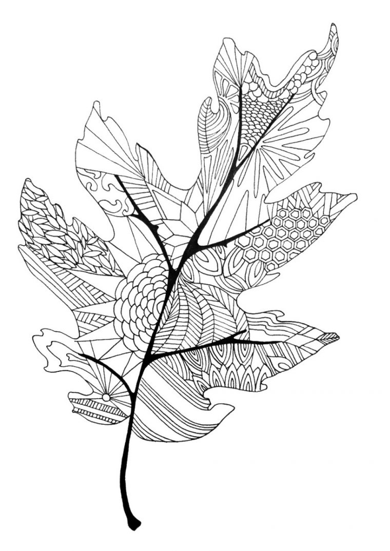 simple leaf coloring page