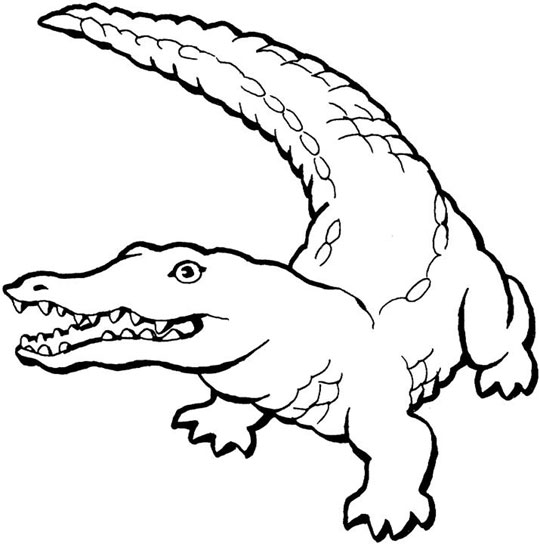 coloring pages crocodile