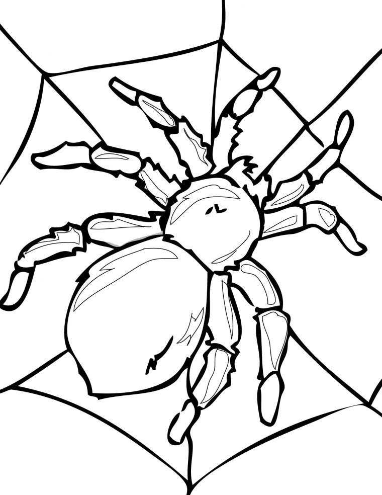tarantula coloring page