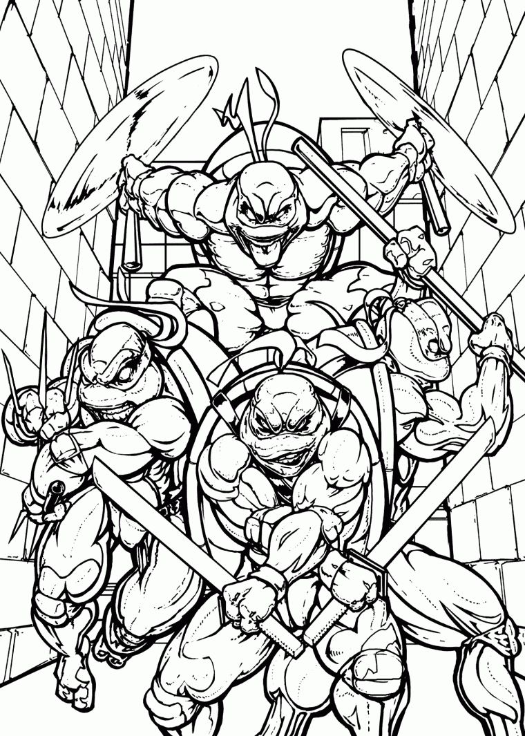 rise of the ninja turtles coloring pages