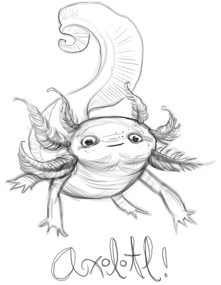 cute axolotl coloring page