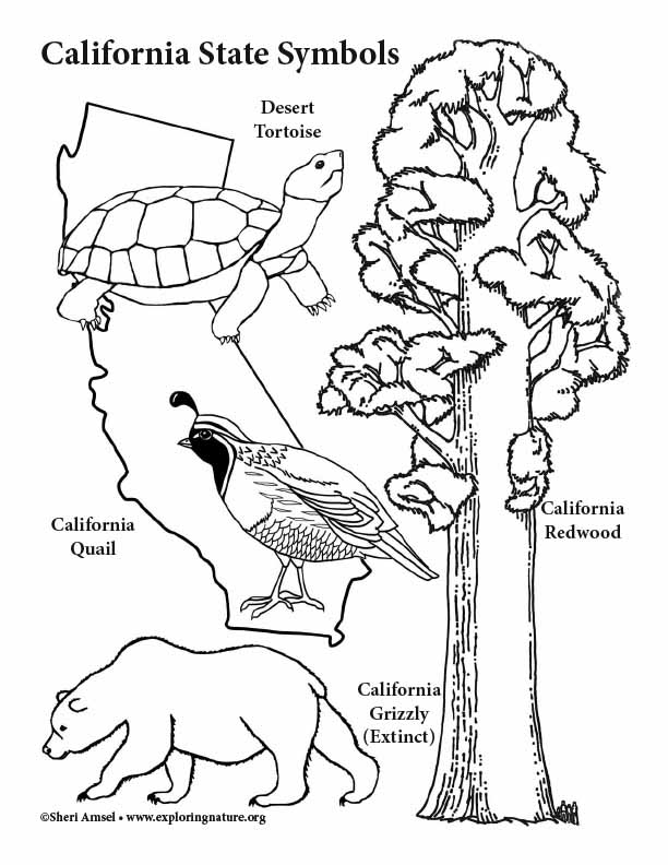 california coloring pages