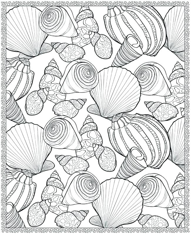 sea shell coloring page