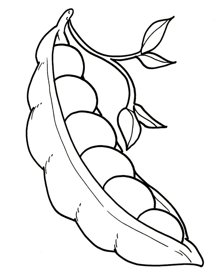 green bean coloring page