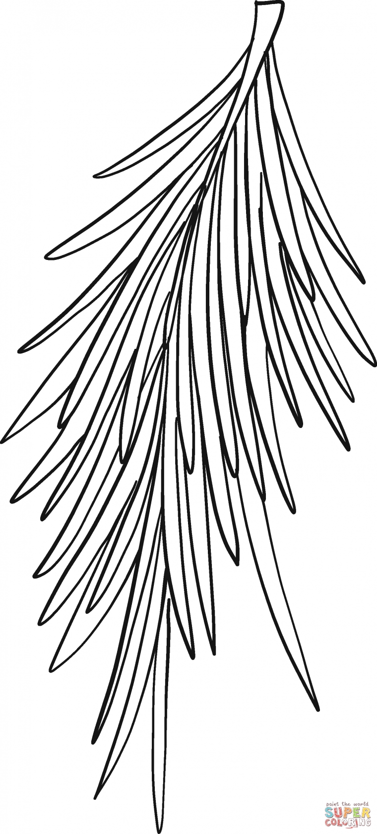 tree branch coloring page tree branch coloring page