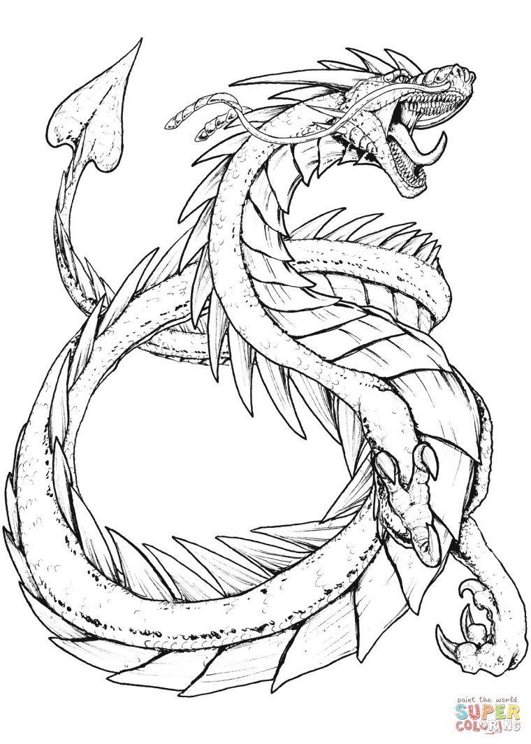 mythical creature animal coloring pages for adults