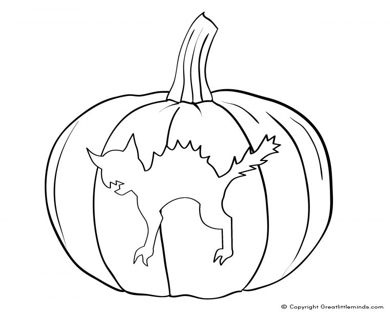 cat in a pumpkin coloring page