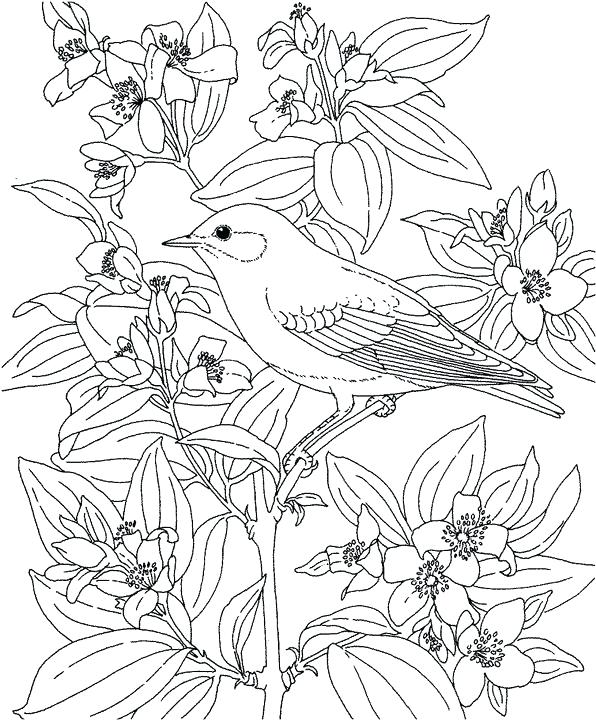purple coloring pages purple coloring pages