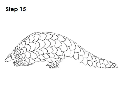 pangolin coloring page