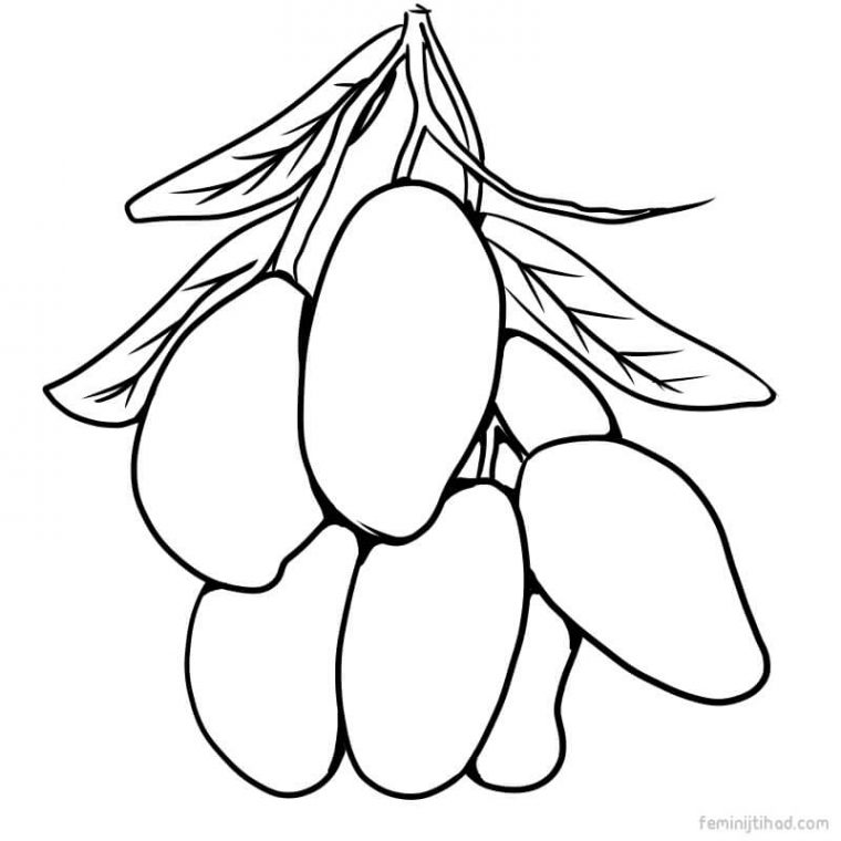 mango coloring pages