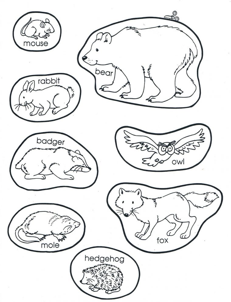 jan brett the mitten coloring pages