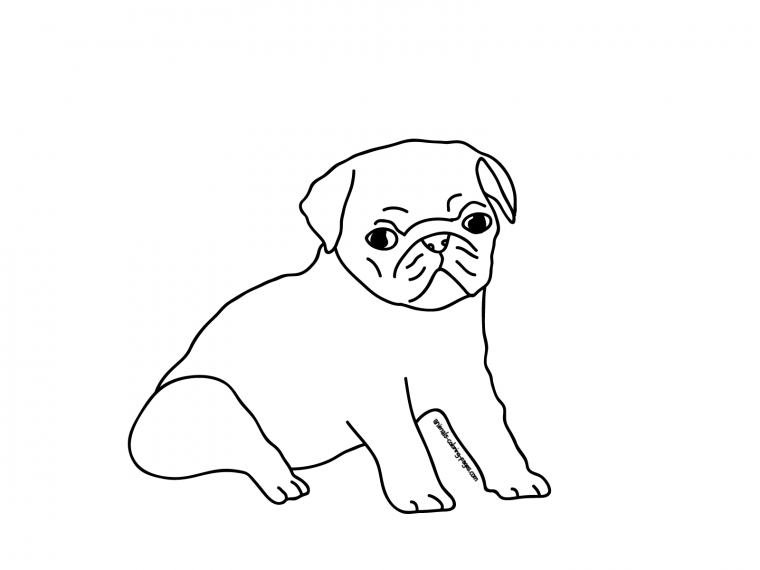 cute pug coloring pages