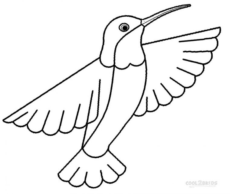 free printable hummingbird coloring pages