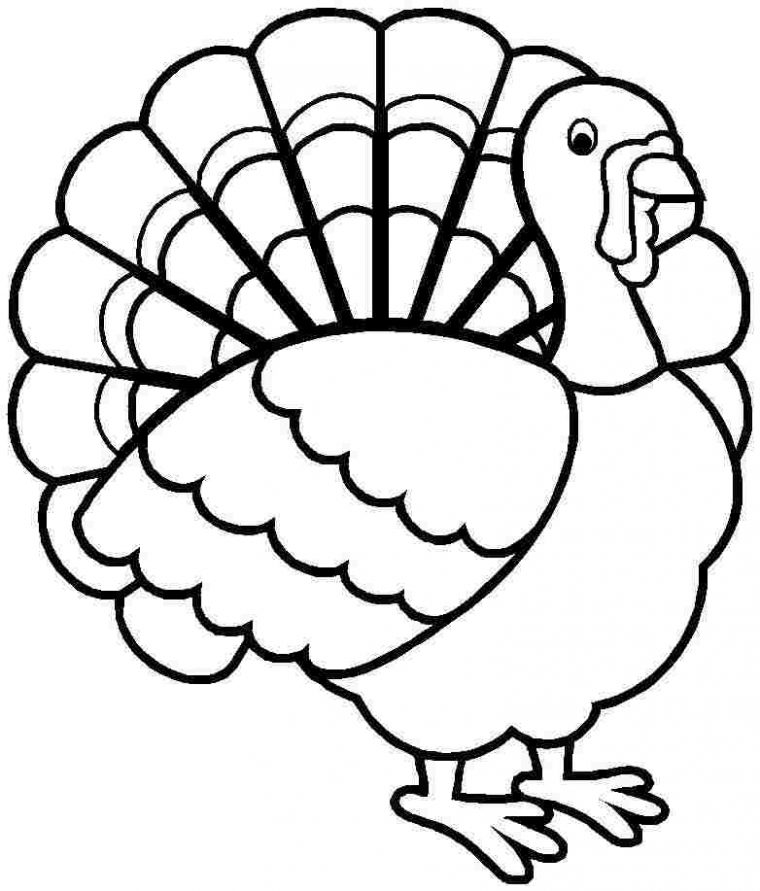 turkey clipart coloring page turkey clipart coloring page