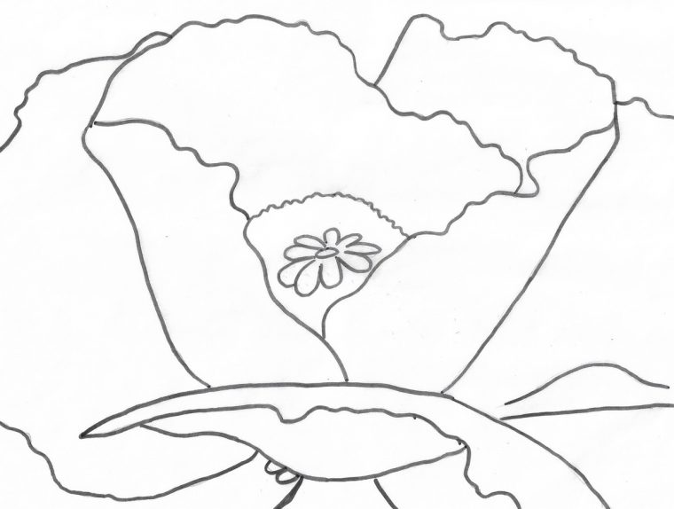 georgia o keefe coloring pages georgia o keefe coloring pages