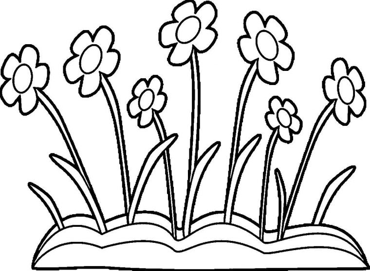 coloring page border