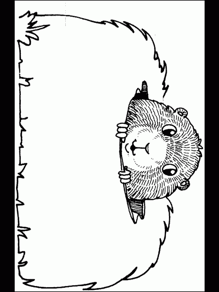 free groundhog coloring pages