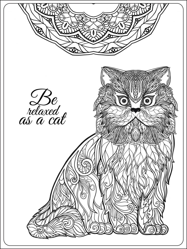 cat mandala coloring pages cat mandala coloring pages