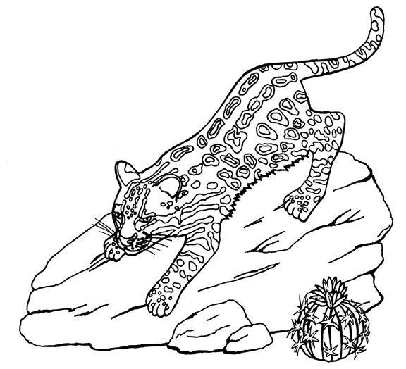 ocelot coloring page